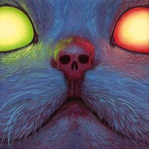 Meet your Posher, Robin